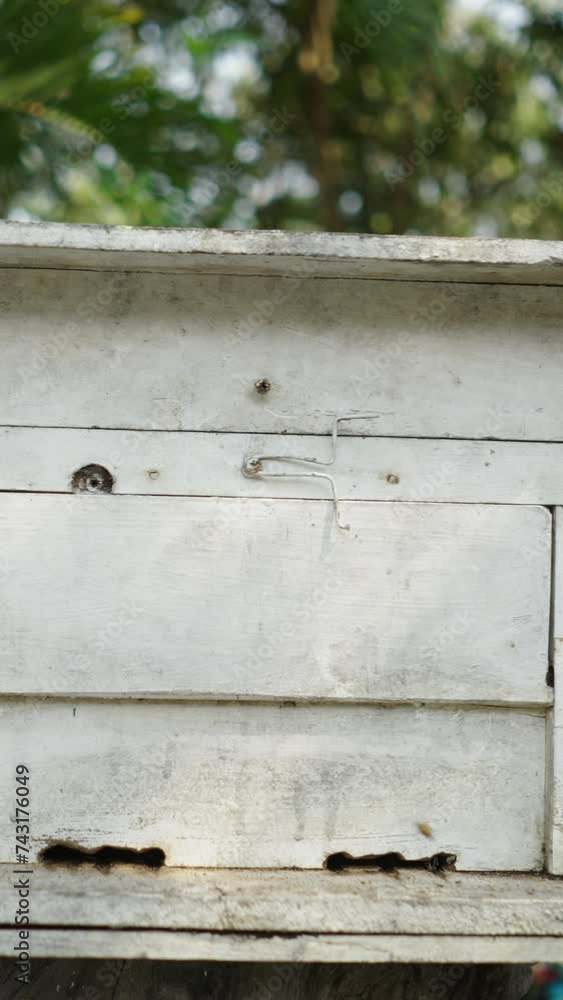 Shot walking away from a box where the bees create honey Shot walking away from a box where the bees create honey