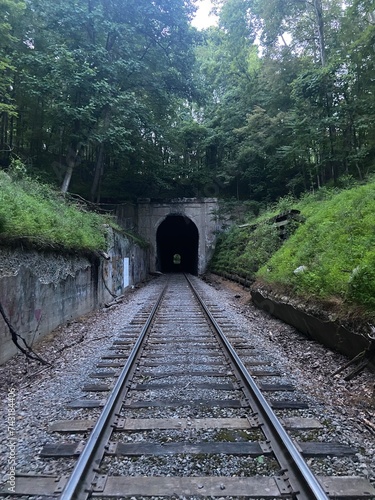 railway forest tunnel