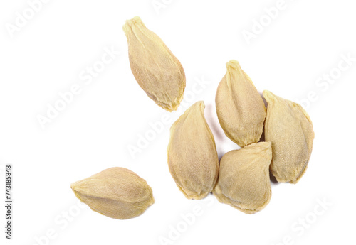 Wallpaper Mural Tangerine seeds isolated on white, macro  Torontodigital.ca