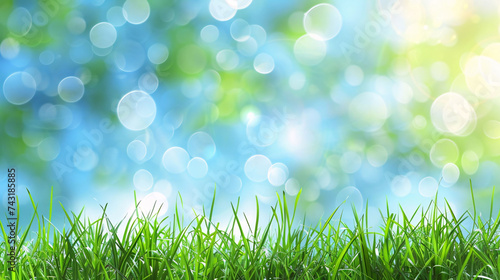 Serene Spring Meadow with Vibrant Bokeh Lights