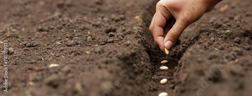 Obraz na płótnie A hand sows seeds in a soil furrow. The act of planting is an investment in the future, where the seeds symbolize potential growth and development. Earth day background. w salonie