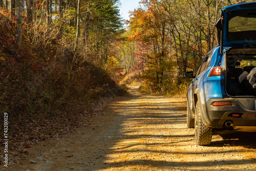 Autumn Mountain Road
