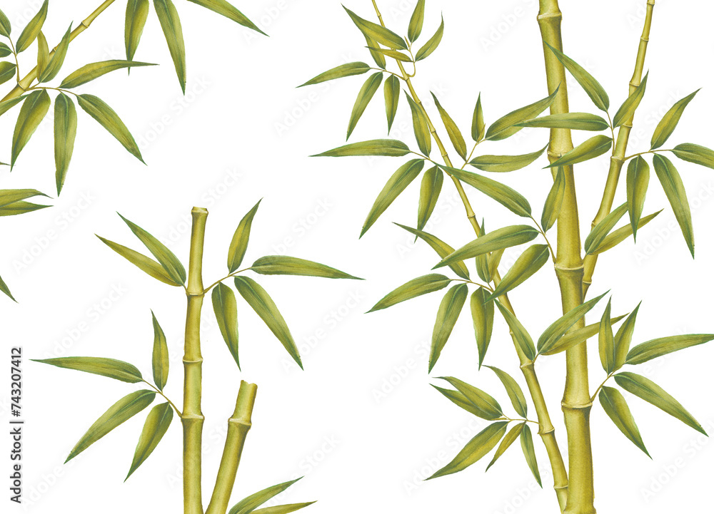 Naklejka premium Set of bamboo elements isolated on white