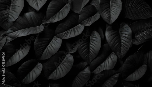 Textures of abstract black leaves for tropical leaf background. Flat lay wallpaper background  dark nature concept  tropical leaf created with generative ai  