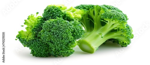 Close up view of fresh broccoli isolated on a white background. The vibrant shot highlights the crispness and purity of the broccoli florets.