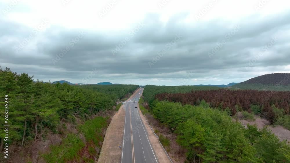 Drone View of Jeju island in South Korea, forest, Autumn Drone View of Jeju island in South Korea, forest, Autumn