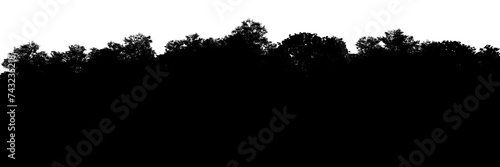 Detailed 3D silhouette visualization of a coniferous forest panorama on a transparent background. Technical map for graphic programs, render element for quick background replacement.