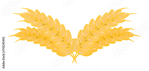 Four ears of wheat, grain harvest, yellow vector illustration of gluten product