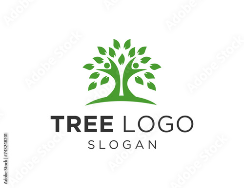 The logo design is about Tree and was created using the Corel Draw 2018 application with a white background.