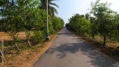 1st January, 2024, Namkhana, West Bengal, India: Beautiful village road of Bengal with trees both side of the road and few people walking on the road. Selective focus. photo