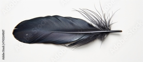 A close-up view of a single black feather resting on a plain white background. The feathers intricate details are highlighted against the stark contrast of the background.
