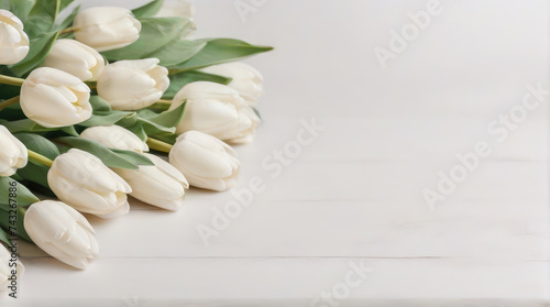 A bouquet of delicate white tulips on a white background, a spring postcard from copy space