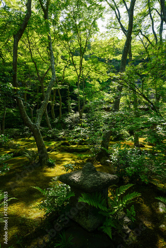 祇王寺の庭園風景 © ykimura65