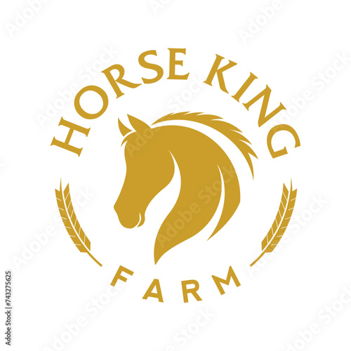 Horse Farm Logo design. Horse Head Logo Vector Template