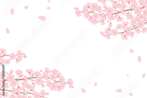 満開の桜フレーム背景_ベクターイラスト
