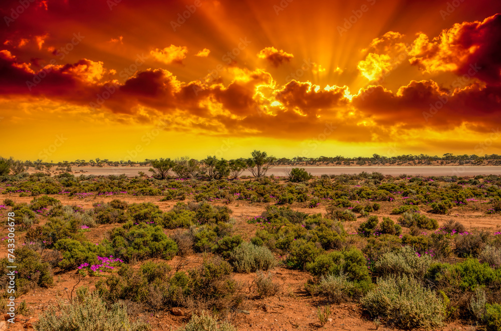 Red Desert - Western Australia just Out of Kalgoorlie