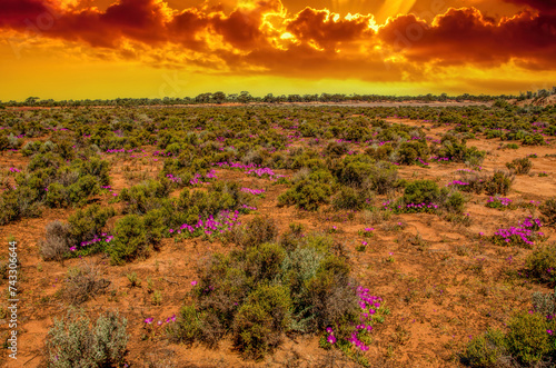Obraz na płótnie Red Desert - Western Australia just Out of Kalgoorlie w salonie