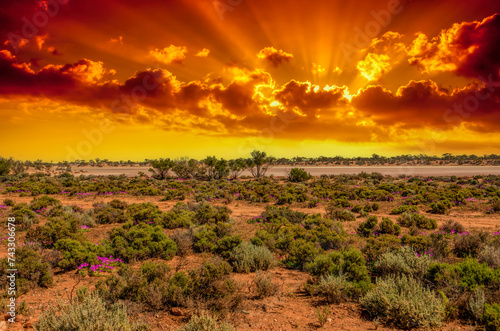 Obraz na płótnie Red Desert - Western Australia just Out of Kalgoorlie w salonie