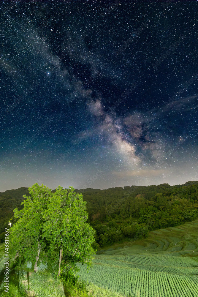 Fototapeta premium 大山千枚田