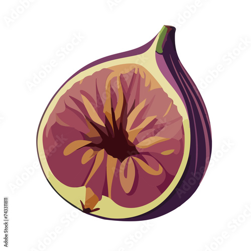 いちじくのイラスト