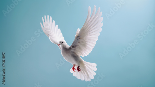 holy spirit as a beautiful white dove flying