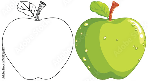Illustration of an apple, line art and colored