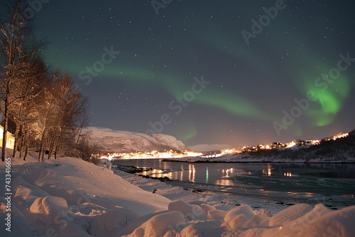 Beautiful aurora in a winter country