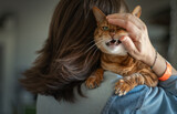 Woman petting cute funny cat sitting on her shoulder. Concept of love, fun and friendship. Closeup portrait.