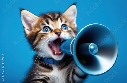 cute little kitten makes an announcement using a megaphone or bullhorn, Notification, warning, announcement. Kitten with a megaphone on a blue background,