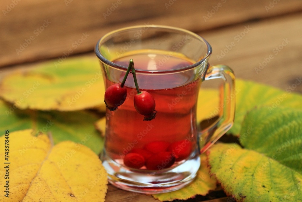 Rosehip tea tea full of vitamins on a wood table. Autumn mood and colors come from fresh and dried rosehips and november leaves. Rosehip tea tea full of vitamins on a wood table. Autumn mood and colors come from fresh and dried rosehips and november leaves.