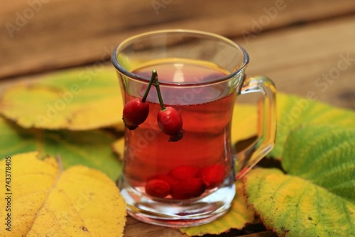 Rosehip tea tea full of vitamins on a wood table. Autumn mood and colors come from fresh and dried rosehips and november leaves.