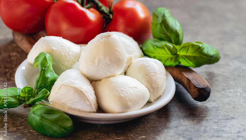 Homemade Organic Mozzarella Cheese with Tomato and Basil, selective focusing for film look effect Homemade Organic Mozzarella Cheese with Tomato and Basil, selective focusing for film look effect