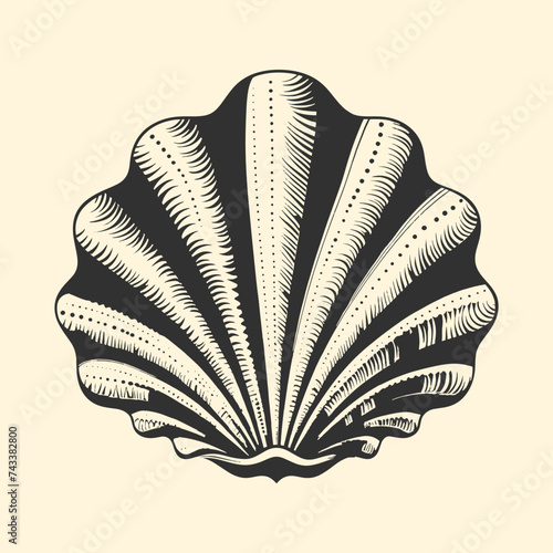 Seashell woodcut style drawing vector