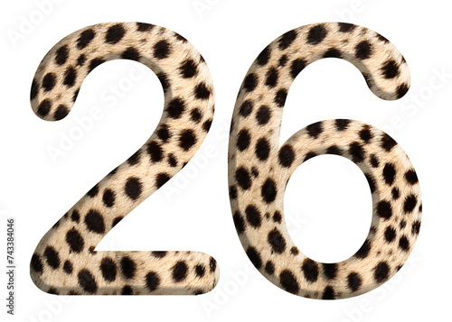 The shape of the number 26 is made of cheetah fur or skin isolated on transparent background. Suitable for birthday, anniversary and Memorial Day templates