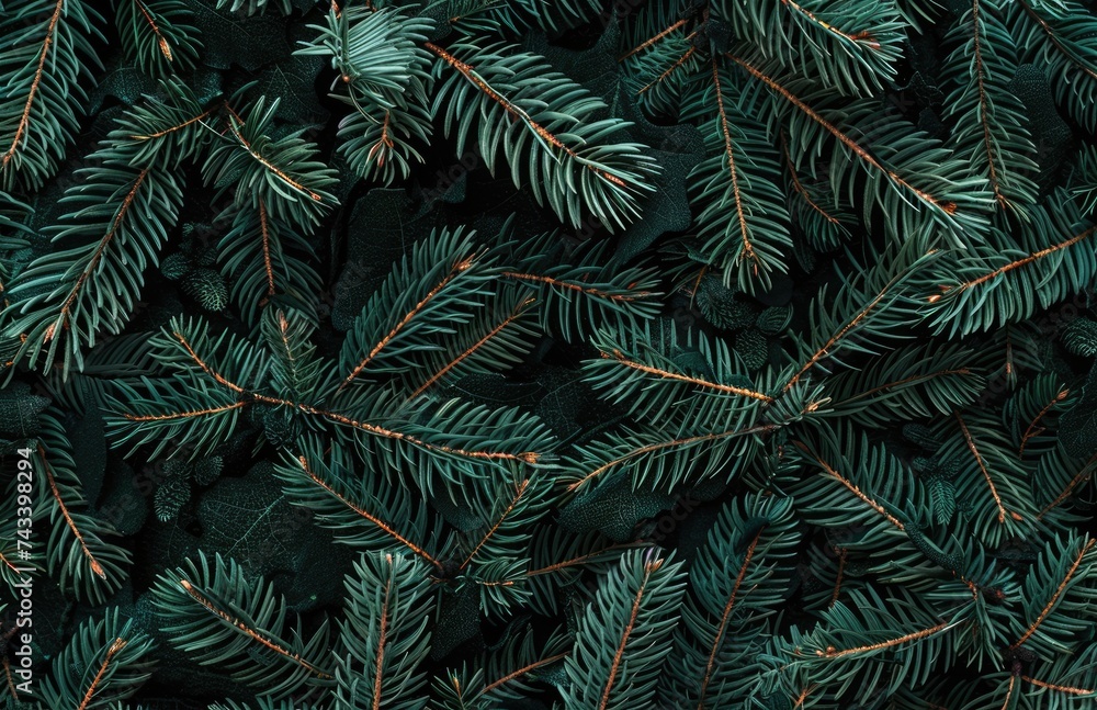 Beautiful Christmas Background with green fir tree brunch close up. Copy space, trendy moody dark toned design for seasonal quotes. Vintage December wallpaper. Natural winter holiday forest backdrop A