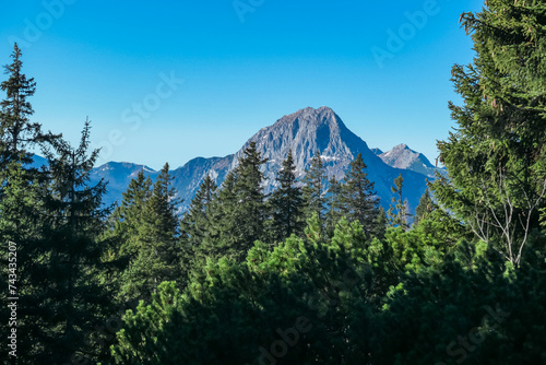 Scenic view of majestic mountain peaks seen from idyllic forest near Hochblaser, Eisenerz, Ennstal Alps, Styria, Austria. Looking at massive rock formation Lugauer. High up alpine terrain. Wanderlust photo