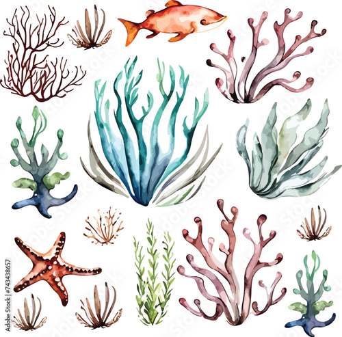 Colorful watercolor ocean sea corals ornament pattern decoration for wedding, anniversary, invitation card and birthday design illustration.