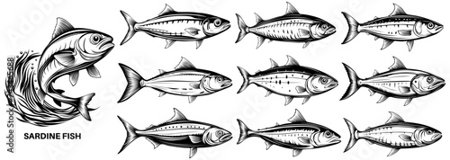 set collections japanese sardine icon logo design vector illustration