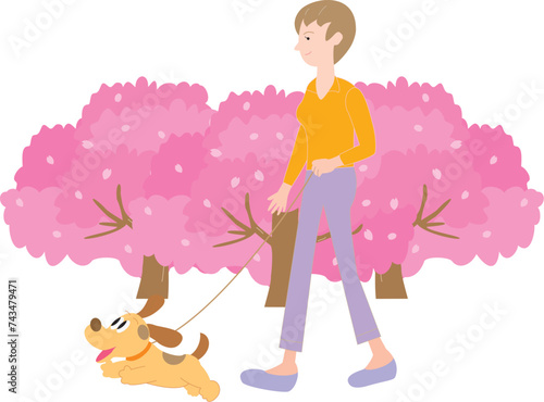 桜と犬を連れて散歩をする女性
