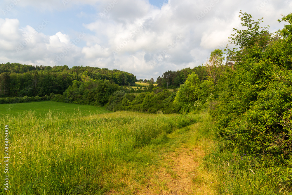 Rural scene with hill panorama, fields and forest with trees near Obertrubach in Franconian Switzerland, Germany Rural scene with hill panorama, fields and forest with trees near Obertrubach in Franconian Switzerland, Germany