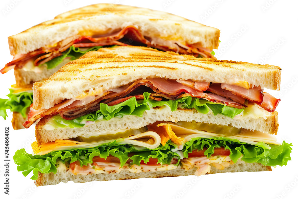 Savory Sandwich on Transparent Background, PNG