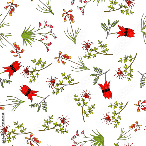 Seamless vector pattern with hand drawn native australian plants