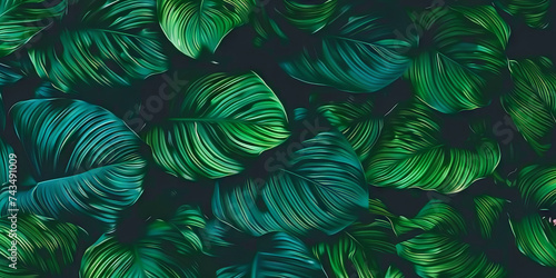 green and blue tropical leaves on dark background wallpaper,banner