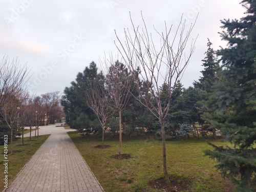 park in the city