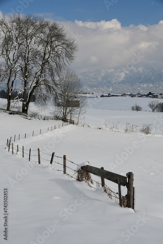 Winterlandschaft