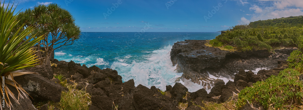 Panorama of Cape Méchant of Reunion Island and the trees of Vacoa