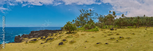 Panorama of Cape Méchant of Reunion Island and the trees of Vacoa