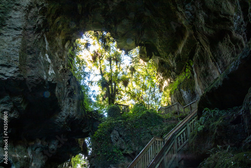 Wooden boardwalk leading through a natural tunnel along the Ruakuri Bushwalk at Waitomo, New Zealand