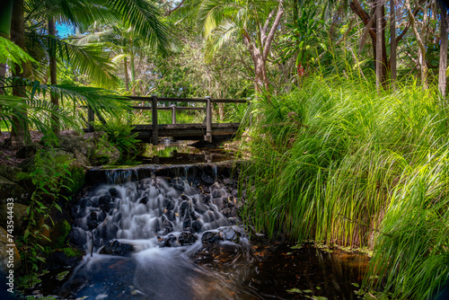 Fototapeta Naklejka Na Ścianę i Meble -  Small waterfall feature in Gold Coast Botanical Gardens, Queensland, Australia