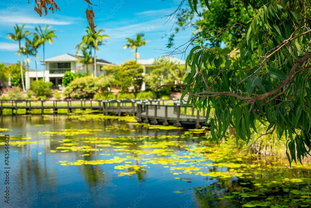 Gold Coast Botanical Gardens, Queensland, Australia